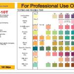 Bandelettes urinaires 10 paramètres : Avec Leucocytes (HEALGEN)
