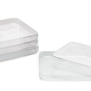 BOITE DE PETRI CARRE 120x120 MM