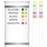Bandelettes urinaires Combostik 5P