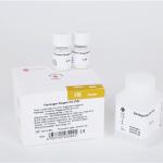 Fibrinogène 6x2ml SUCCEEDER 