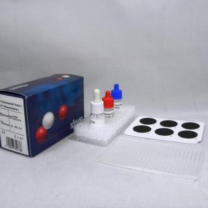RF Latex DIALAB