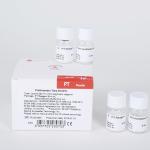 Taux de Prothrombine 6x2ml SUCCEEDER